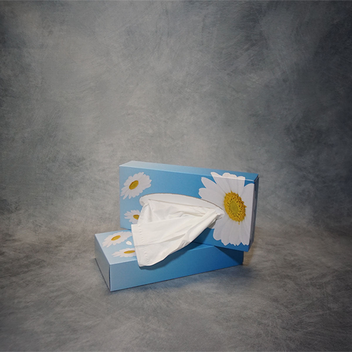 Kosmetiktücher im Karton